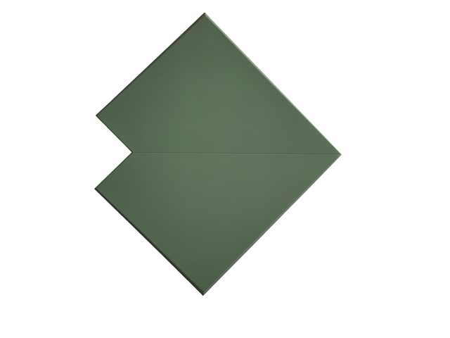 Bio Material Feature Indoor 3d Wall Panel