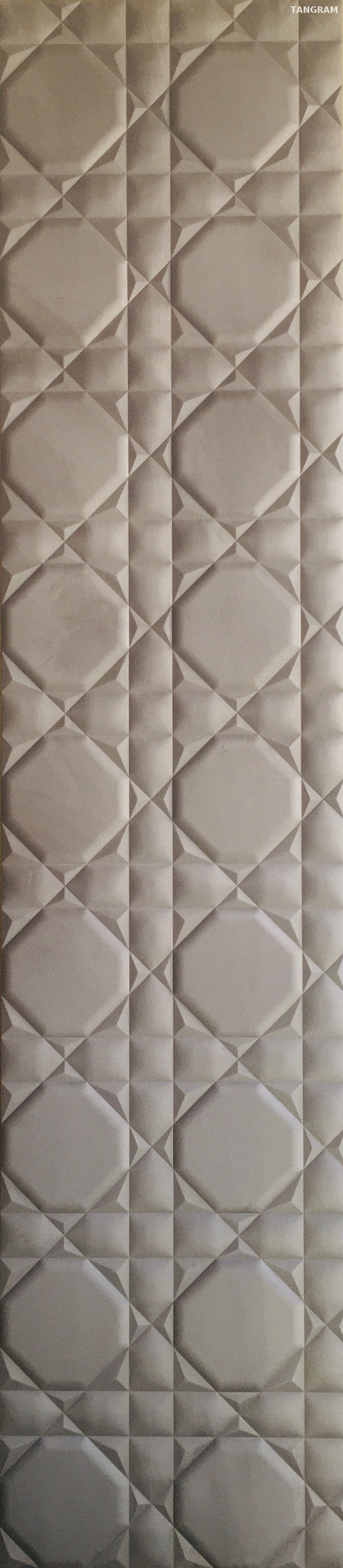 Dior Plus 041